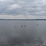 IMG_1346